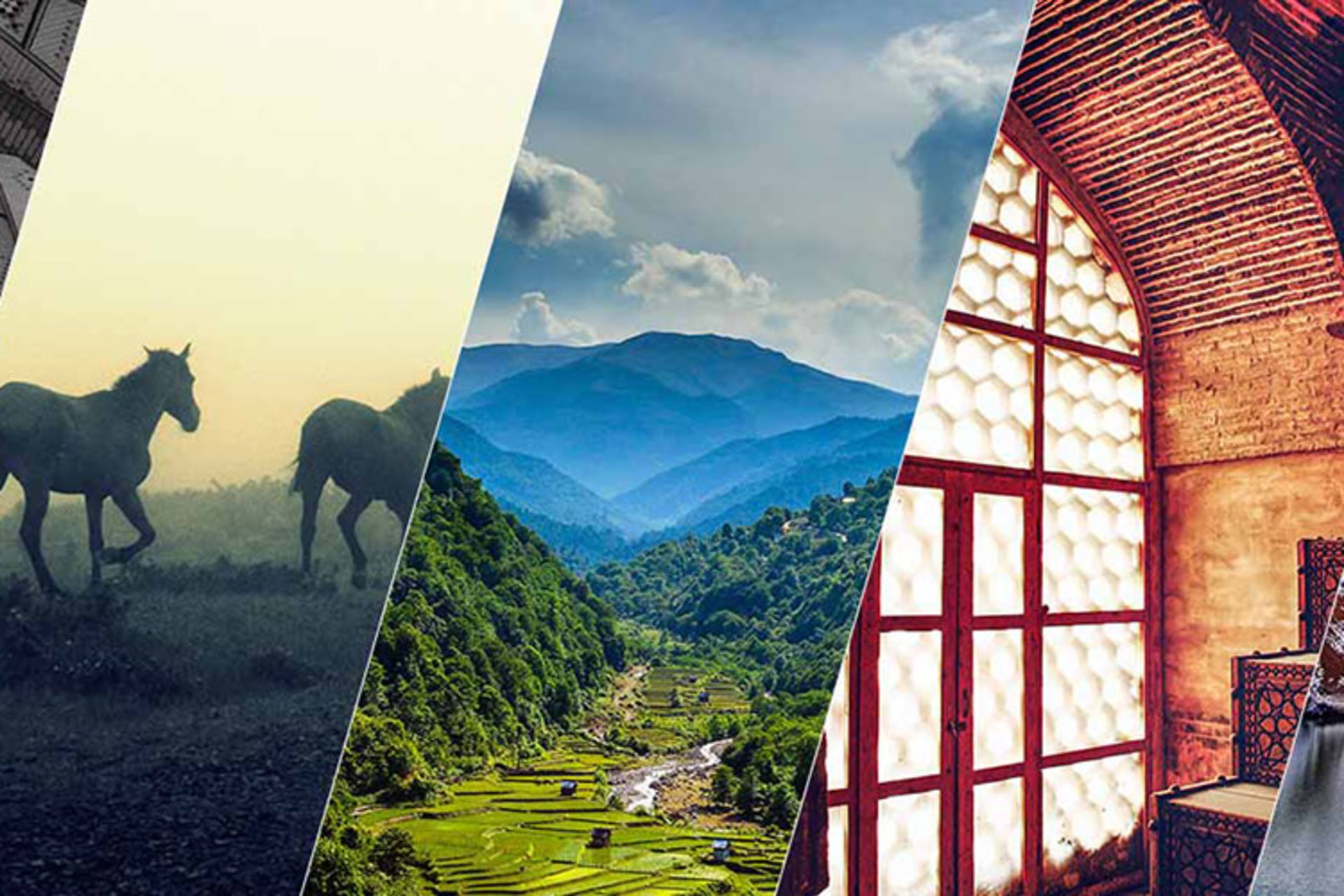 2015-12-cbc10cc2-7240-40c9-9b78-f1565ec58ffa-^48ebd442bb63a7df781357a3eaed3bd079827c54be3334cc91^pimgpsh_fullsize_distr